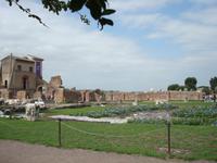 Palatino 