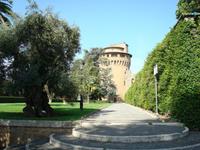 Alte Olivenbäume &ndash; &copy; Mandy Fischer (Eberhardt TRAVEL)