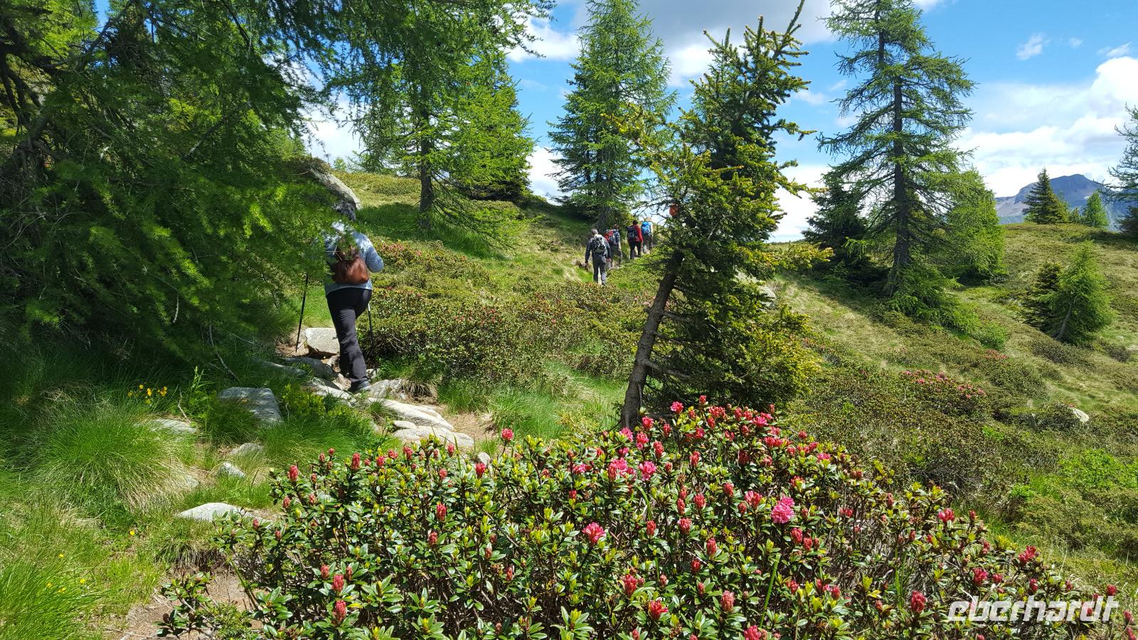 Wanderwege &ndash; &copy; Betina Marinow (Eberhardt TRAVEL)