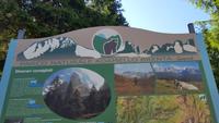 Naturparl Adamello Brenta &ndash; &copy; Betina Marinow (Eberhardt TRAVEL)
