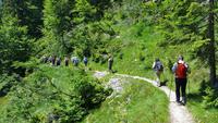 Naturparl Adamello Brenta &ndash; &copy; Betina Marinow (Eberhardt TRAVEL)