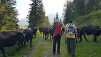 Naturparl Adamello Brenta &ndash; &copy; Betina Marinow (Eberhardt TRAVEL)