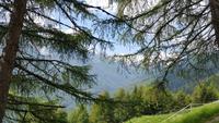 National Park Stilfser Joch &ndash; &copy; Betina Marinow (Eberhardt TRAVEL)