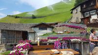 Pirchhof &ndash; &copy; Betina Marinow (Eberhardt TRAVEL)