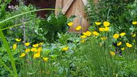 Gasthof - Jägerrast &ndash; &copy; Betina Marinow (Eberhardt TRAVEL)