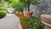 Schloß und Gärten Trauttmannsdorf &ndash; &copy; Betina Marinow (Eberhardt TRAVEL)