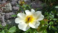 Impessionen &ndash; &copy; Betina Marinow (Eberhardt TRAVEL)
