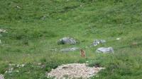 IMG 0292 &ndash; &copy; Doreen Päßler (Eberhardt TRAVEL)