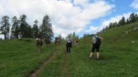 IMG 0295 &ndash; &copy; Doreen Päßler (Eberhardt TRAVEL)