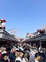 Senso Ji