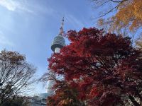 N-Tower Seoul &ndash; &copy; Sabine Letzybyll (Eberhardt TRAVEL)