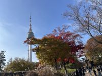 N-Tower Seoul