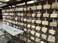 Meiji Schrein &ndash; &copy; Sabine Letzybyll (Eberhardt TRAVEL)