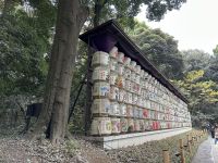 Meiji Schrein &ndash; &copy; Sabine Letzybyll (Eberhardt TRAVEL)