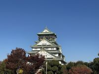 Burg von Osaka &ndash; &copy; Sabine Letzybyll (Eberhardt TRAVEL)