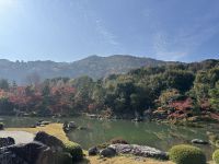 Ausflug nach Kyoto &ndash; &copy; Sabine Letzybyll (Eberhardt TRAVEL)