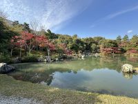 Ausflug nach Kyoto &ndash; &copy; Sabine Letzybyll (Eberhardt TRAVEL)
