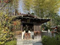 Ausflug nach Kyoto &ndash; &copy; Sabine Letzybyll (Eberhardt TRAVEL)