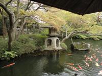 Happoen-Garten_2 &ndash; &copy; Ivonne Lischke (Eberhardt TRAVEL)