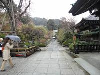 Hasedera-Tempel_2 &ndash; &copy; Ivonne Lischke (Eberhardt TRAVEL)