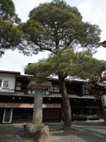 Natur in Takayama &ndash; &copy; Ivonne Lischke (Eberhardt TRAVEL)