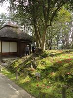 Wandelgarten Okayama_3 &ndash; &copy; Ivonne Lischke (Eberhardt TRAVEL)