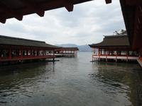 Itsukushima-Schrein auf Miyajima_3 &ndash; &copy; Ivonne Lischke (Eberhardt TRAVEL)