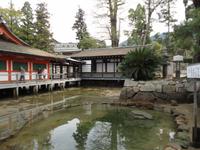 Itsukushima-Schrein auf Miyajima_4 &ndash; &copy; Ivonne Lischke (Eberhardt TRAVEL)