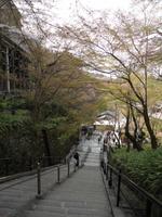 Kiyomizudera-Tempel in Kyôto_3 &ndash; &copy; Ivonne Lischke (Eberhardt TRAVEL)