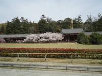 Nara &ndash; &copy; Ivonne Lischke (Eberhardt TRAVEL)