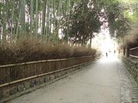 Bambushain in Ashiyama_2 &ndash; &copy; Ivonne Lischke (Eberhardt TRAVEL)