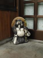 Tanuki - Dachs &ndash; &copy; Ivonne Lischke (Eberhardt TRAVEL)