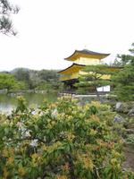 Kinkakuji_2 &ndash; &copy; Ivonne Lischke (Eberhardt TRAVEL)