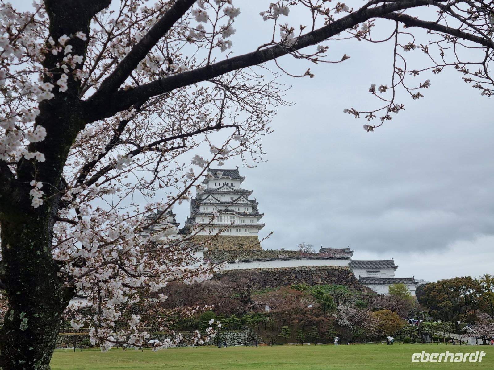 Burg Himeji - Kirschblüte  &ndash; &copy; Katrin Deutschbein (Eberhardt TRAVEL)