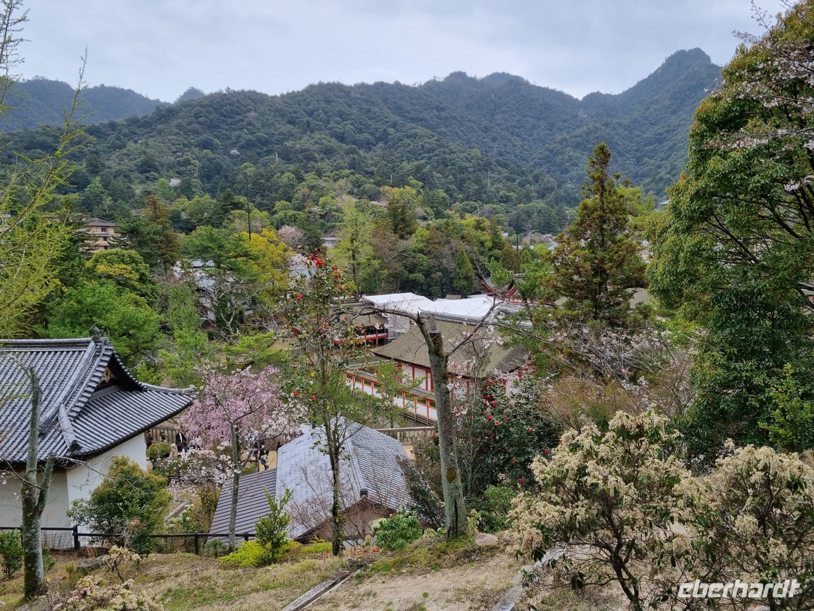 Insel Miyajima &ndash; &copy; Katrin Deutschbein (Eberhardt TRAVEL)