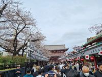 Tokio - Asakusa-Tempel &ndash; &copy; Katrin Deutschbein (Eberhardt TRAVEL)