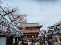 Tokio - Asakusa-Tempel &ndash; &copy; Katrin Deutschbein (Eberhardt TRAVEL)