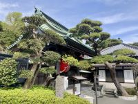 Hasedera Tempel &ndash; &copy; Mareike Schmidt (Eberhardt TRAVEL)