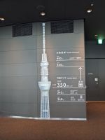 15. Skytree &ndash; &copy; Teresa Rumpel (Eberhardt TRAVEL)
