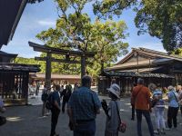 22. Meiji-Schrein &ndash; &copy; Teresa Rumpel (Eberhardt TRAVEL)