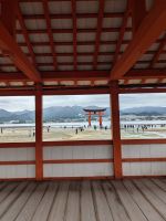 208. Insel Miyajima &ndash; &copy; Teresa Rumpel (Eberhardt TRAVEL)