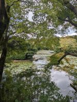 230. Ryoanji-Tempel Kyoto &ndash; &copy; Teresa Rumpel (Eberhardt TRAVEL)