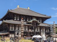 276. Nara &ndash; &copy; Teresa Rumpel (Eberhardt TRAVEL)
