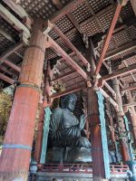 278. Nara &ndash; &copy; Teresa Rumpel (Eberhardt TRAVEL)