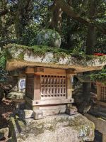 296. Nara &ndash; &copy; Teresa Rumpel (Eberhardt TRAVEL)