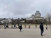 Besichtigung der Burg von Himeji &ndash; &copy; Jacob Spangenberg (Eberhardt TRAVEL)