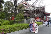 Senso-ji &ndash; &copy; Frank Nimschowski (Eberhardt TRAVEL)