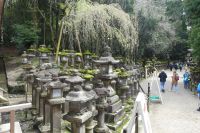 in Nara