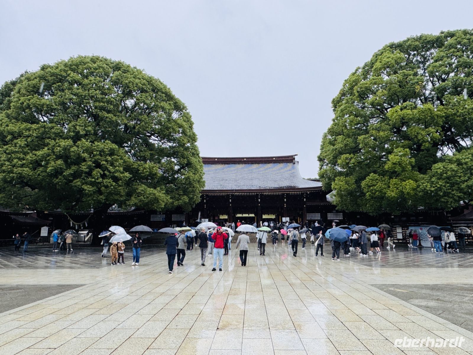 Tag 3 - Meiji-Schrein &ndash; &copy; Christin Kuschka (Eberhardt TRAVEL)