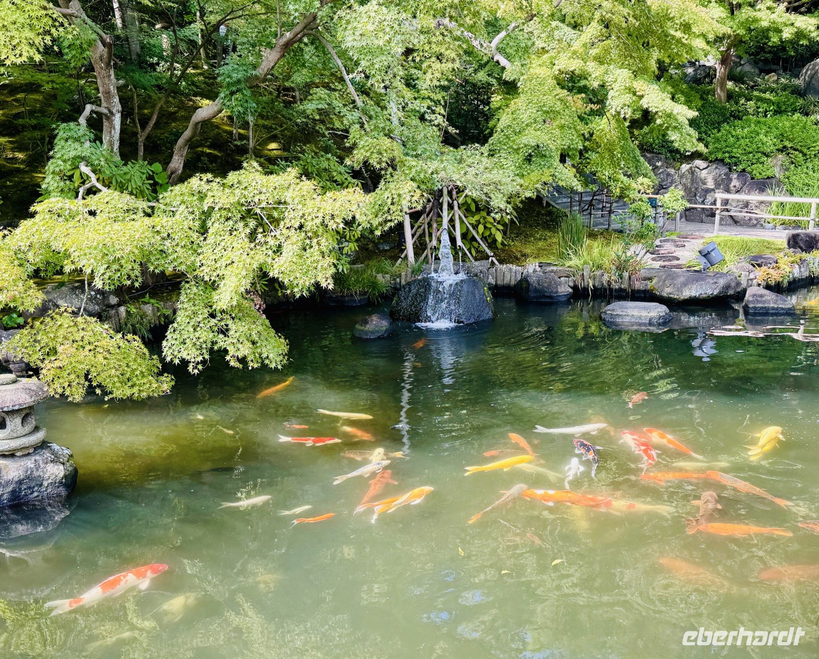 Tag 5 - Koi-Teich &ndash; &copy; Christin Kuschka (Eberhardt TRAVEL)